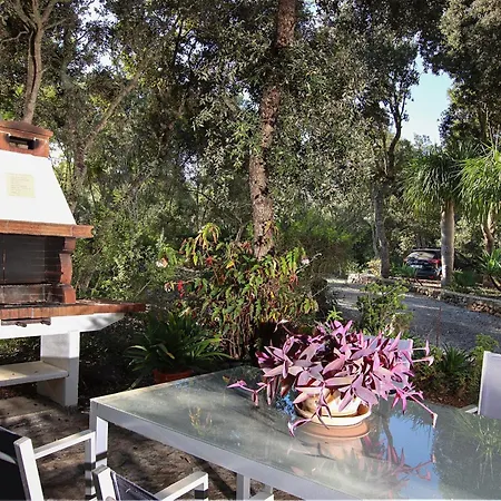 Moranta - Pedro Monjo *